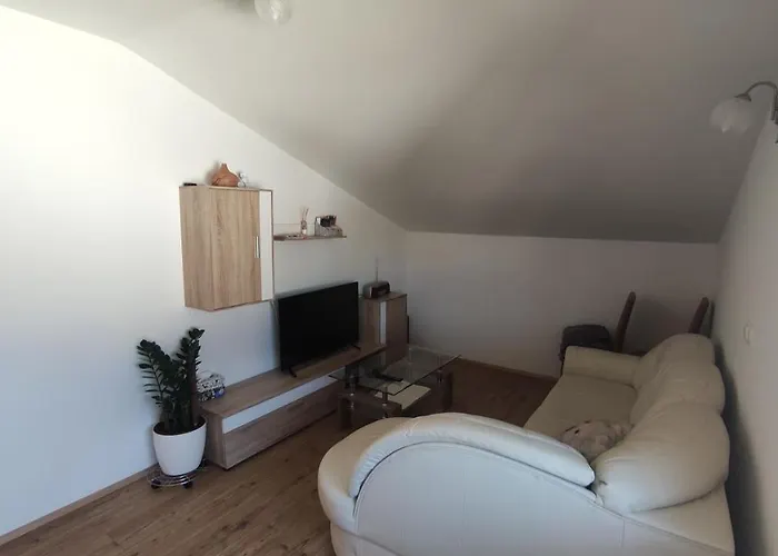 Prijetno Stanovanje V Blizini Term 3000 - Vivat